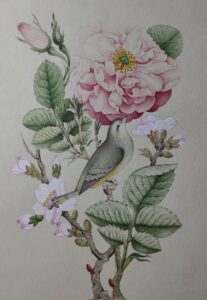 نگارگری،گل مرغ