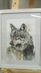Wolf
