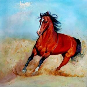 اسب وحشی