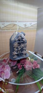 جاشمعی و جاعودی