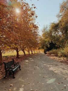 قرار عاشقانه