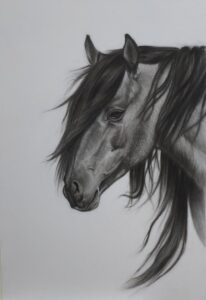 horse