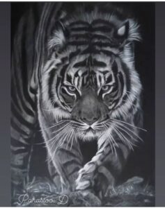 ببر