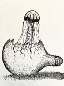 ازادی در شکست