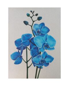 تابلو ارکیده های آبی