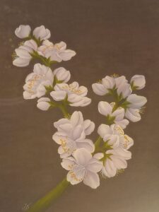 شکوفه بهاری